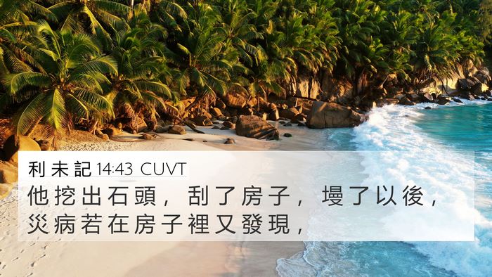 利 未 記 14:43 CUVT 4K Wallpaper - 他 挖 出 石 頭 ， 刮 了 房 子 ， 墁 - 4K Wallpaper Bible Verse