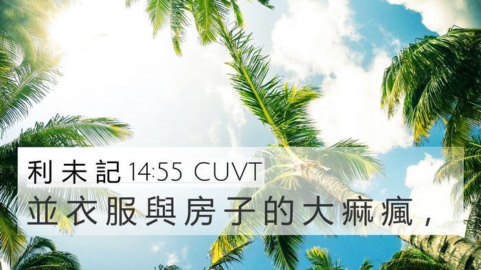 利 未 記 14:55 CUVT 4K Wallpaper - 並 衣 服 與 房 子 的 大 痲 瘋 - 4K Wallpaper Bible Verse