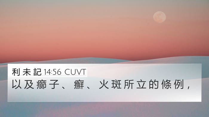 利 未 記 14:56 CUVT Bible Verse Image