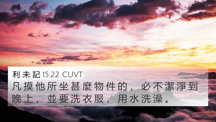 利 未 記 15:22 CUVT 4K Wallpaper - 凡 摸 他 所 坐 甚 麼 物 件 的 ， 必 - 4K Wallpaper Bible Verse