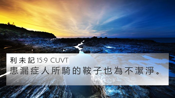 利 未 記 15:9 CUVT 4K Wallpaper - 患 漏 症 人 所 騎 的 鞍 子 也 為 不 - 4K Wallpaper Bible Verse