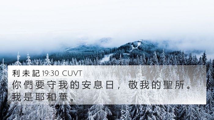 利 未 記 19:30 CUVT Bible Verse Image