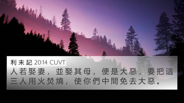 利 未 記 20:14 CUVT Bible Verse Image