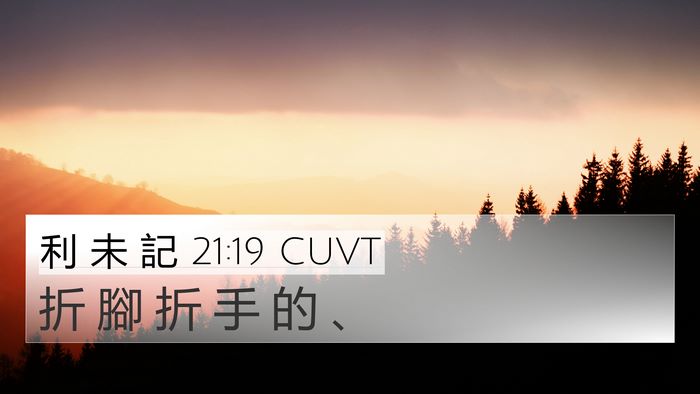 利 未 記 21:19 CUVT 4K Wallpaper - 折 腳 折 手 的 - 4K Wallpaper Bible Verse