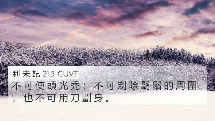 利 未 記 21:5 CUVT Bible Verse Image