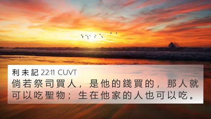 利 未 記 22:11 CUVT 4K Wallpaper - 倘 若 祭 司 買 人 ， 是 他 的 錢 買 - 4K Wallpaper Bible Verse