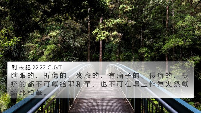 利 未 記 22:22 CUVT Bible Verse Image