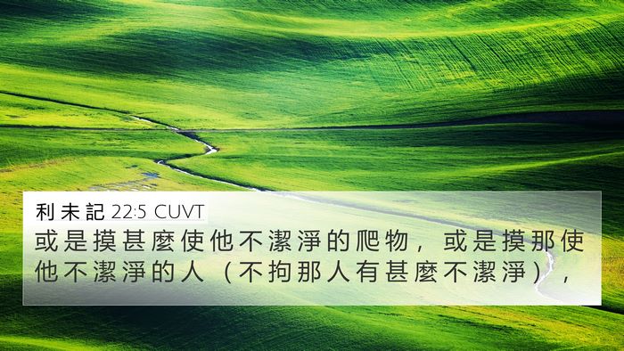 利 未 記 22:5 CUVT 4K Wallpaper - 或 是 摸 甚 麼 使 他 不 潔 淨 的 爬 - 4K Wallpaper Bible Verse