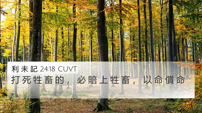 利 未 記 24:18 CUVT 4K Wallpaper - 打 死 牲 畜 的 ， 必 賠 上 牲 畜 ， - 4K Wallpaper Bible Verse
