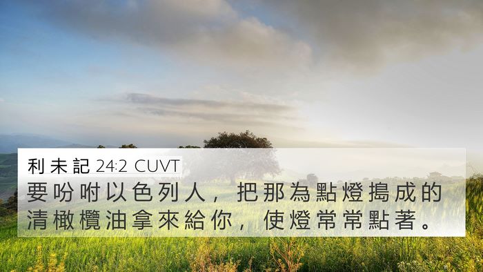 利 未 記 24:2 CUVT Bible Verse Image