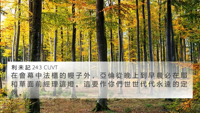 利 未 記 24:3 CUVT 4K Wallpaper - 在 會 幕 中 法 櫃 的 幔 子 外 ， 亞 - 4K Wallpaper Bible Verse