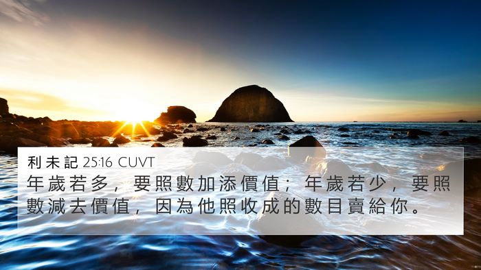 利 未 記 25:16 CUVT 4K Wallpaper - 年 歲 若 多 ， 要 照 數 加 添 價 值 - 4K Wallpaper Bible Verse