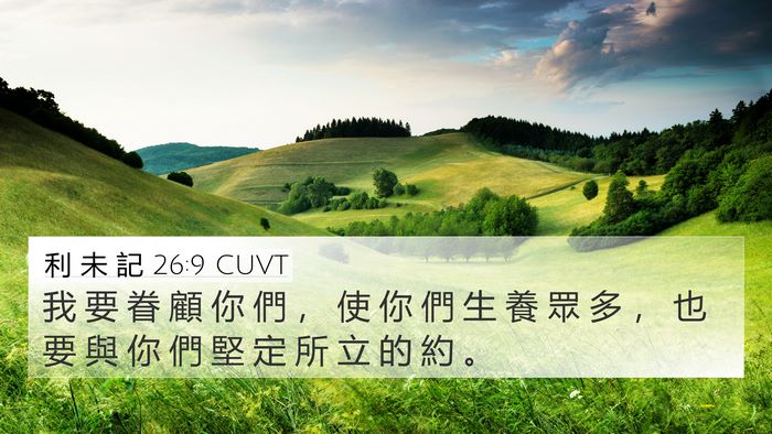 利 未 記 26:9 CUVT 4K Wallpaper - 我 要 眷 顧 你 們 ， 使 你 們 生 養 - 4K Wallpaper Bible Verse