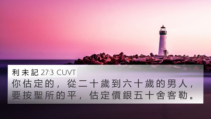 利 未 記 27:3 CUVT 4K Wallpaper - 你 估 定 的 ， 從 二 十 歲 到 六 十 - 4K Wallpaper Bible Verse