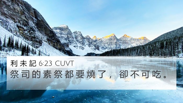 利 未 記 6:23 CUVT 4K Wallpaper - 祭 司 的 素 祭 都 要 燒 了 ， 卻 不 - 4K Wallpaper Bible Verse