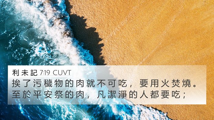 利 未 記 7:19 CUVT 4K Wallpaper - 挨 了 污 穢 物 的 肉 就 不 可 吃 ， - 4K Wallpaper Bible Verse