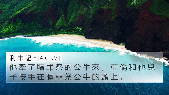 利 未 記 8:14 CUVT 4K Wallpaper - 他 牽 了 贖 罪 祭 的 公 牛 來 ， 亞 - 4K Wallpaper Bible Verse