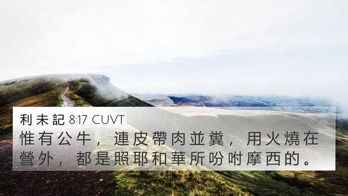 利 未 記 8:17 CUVT Bible Verse Image