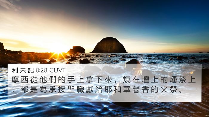 利 未 記 8:28 CUVT 4K Wallpaper - 摩 西 從 他 們 的 手 上 拿 下 來 ， - 4K Wallpaper Bible Verse