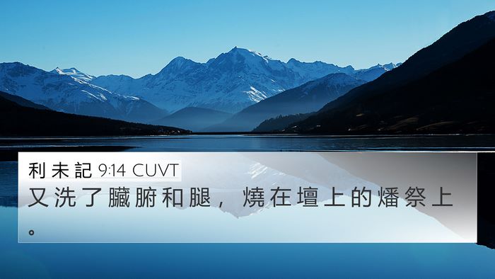 利 未 記 9:14 CUVT 4K Wallpaper - 又 洗 了 臟 腑 和 腿 ， 燒 在 壇 上 - 4K Wallpaper Bible Verse