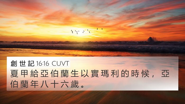 創 世 記 16:16 CUVT 4K Wallpaper - 夏 甲 給 亞 伯 蘭 生 以 實 瑪 利 的 - 4K Wallpaper Bible Verse