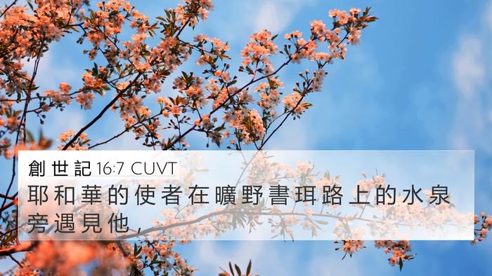 創 世 記 16:7 CUVT Bible Verse Image