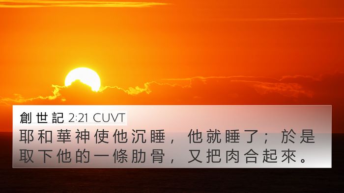 創 世 記 2:21 CUVT Bible Verse Image