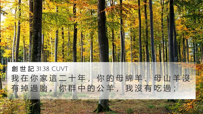 創 世 記 31:38 CUVT Bible Verse Image