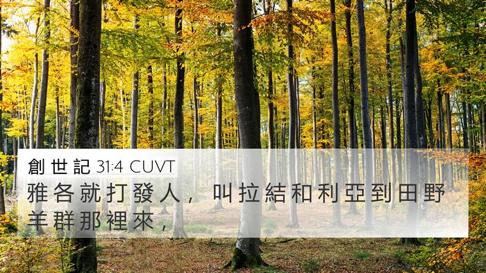 創 世 記 31:4 CUVT 4K Wallpaper - 雅 各 就 打 發 人 ， 叫 拉 結 和 利 - 4K Wallpaper Bible Verse