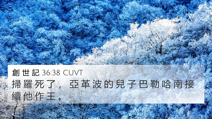 創 世 記 36:38 CUVT 4K Wallpaper - 掃 羅 死 了 ， 亞 革 波 的 兒 子 巴 - 4K Wallpaper Bible Verse