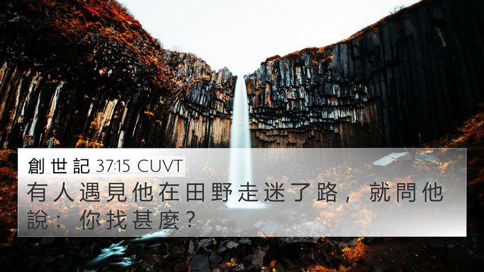 創 世 記 37:15 CUVT 4K Wallpaper - 有 人 遇 見 他 在 田 野 走 迷 了 路 - 4K Wallpaper Bible Verse