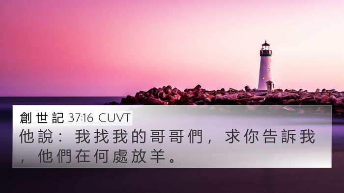 創 世 記 37:16 CUVT 4K Wallpaper - 他 說 ： 我 找 我 的 哥 哥 們 ， 求 - 4K Wallpaper Bible Verse