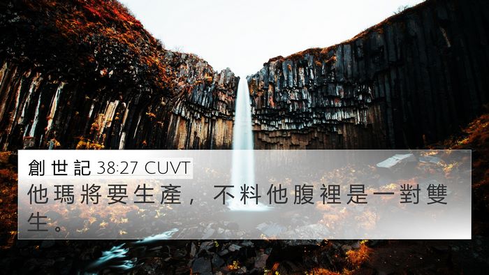 創 世 記 38:27 CUVT 4K Wallpaper - 他 瑪 將 要 生 產 ， 不 料 他 腹 裡 - 4K Wallpaper Bible Verse