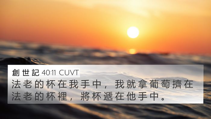 創 世 記 40:11 CUVT 4K Wallpaper - 法 老 的 杯 在 我 手 中 ， 我 就 拿 - 4K Wallpaper Bible Verse