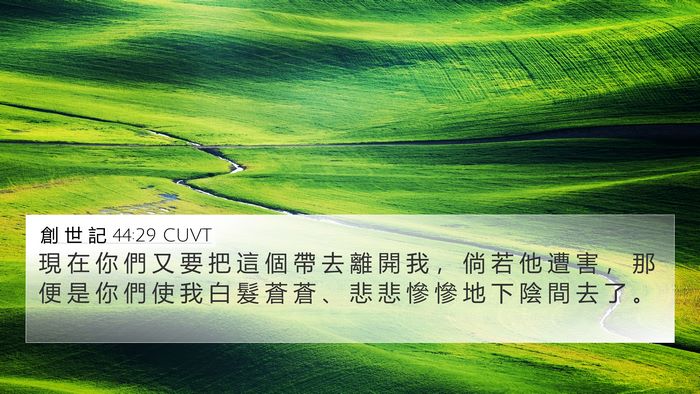 創 世 記 44:29 CUVT Bible Verse Image