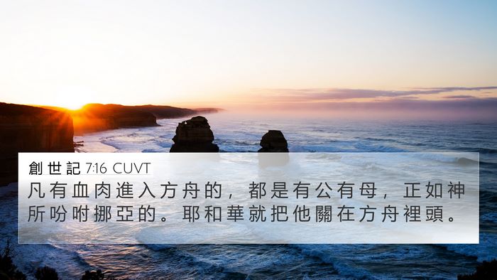 創 世 記 7:16 CUVT 4K Wallpaper - 凡 有 血 肉 進 入 方 舟 的 ， 都 是 - 4K Wallpaper Bible Verse