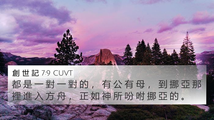 創 世 記 7:9 CUVT 4K Wallpaper - 都 是 一 對 一 對 的 ， 有 公 有 母 - 4K Wallpaper Bible Verse