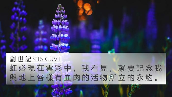 創 世 記 9:16 CUVT 4K Wallpaper - 虹 必 現 在 雲 彩 中 ， 我 看 見 ， - 4K Wallpaper Bible Verse