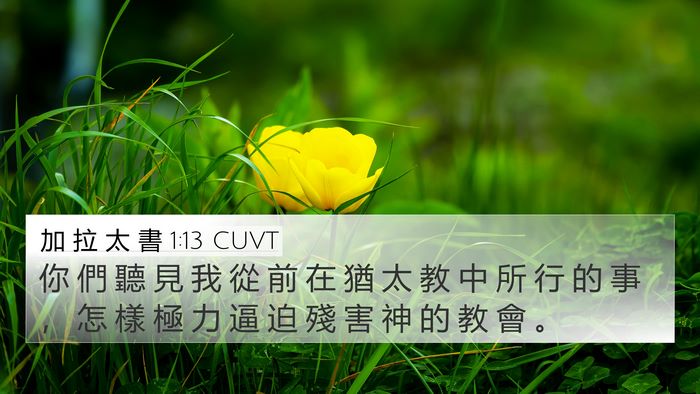 加 拉 太 書 1:13 CUVT Bible Verse Image