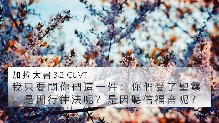 加 拉 太 書 3:2 CUVT Bible Verse Image