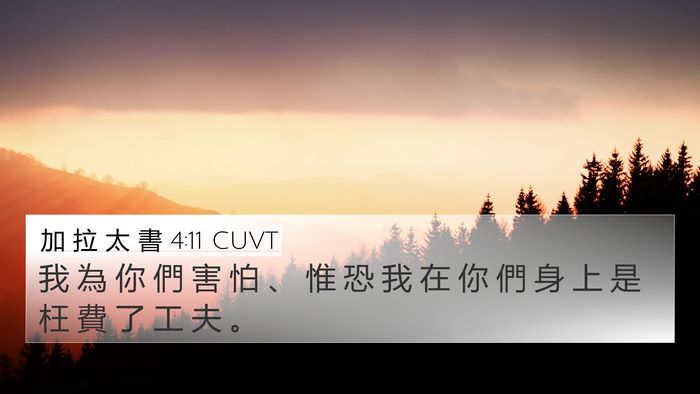 加 拉 太 書 4:11 CUVT Bible Verse Image