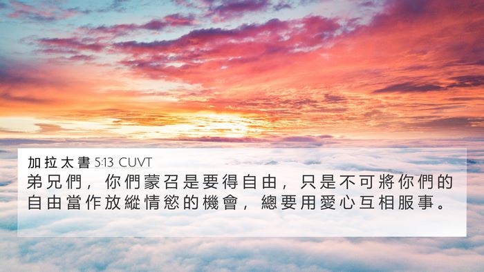加 拉 太 書 5:13 CUVT Bible Verse Image