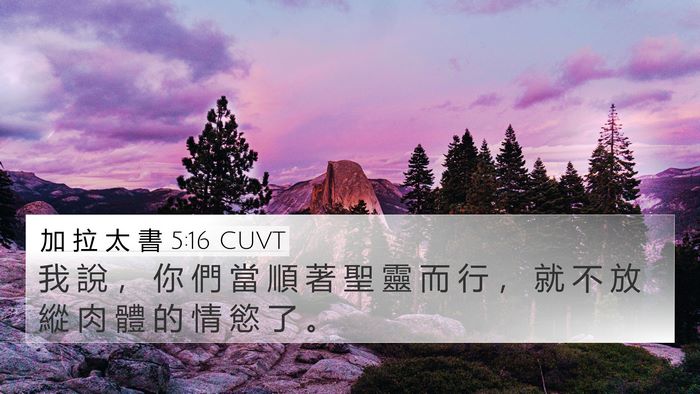 加 拉 太 書 5:16 CUVT Bible Verse Image