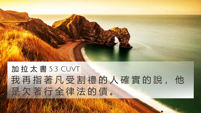 加 拉 太 書 5:3 CUVT Bible Verse Image