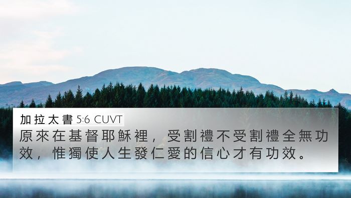 加 拉 太 書 5:6 CUVT Bible Verse Image
