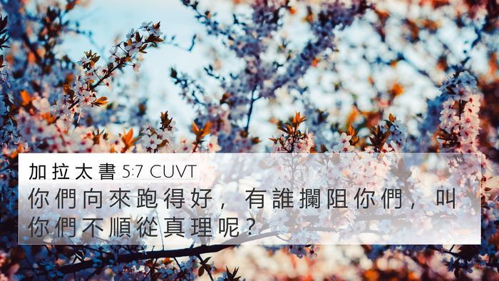 加 拉 太 書 5:7 CUVT Bible Verse Image