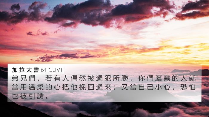 加 拉 太 書 6:1 CUVT Bible Verse Image