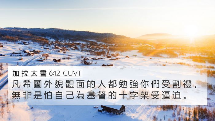 加 拉 太 書 6:12 CUVT Bible Verse Image