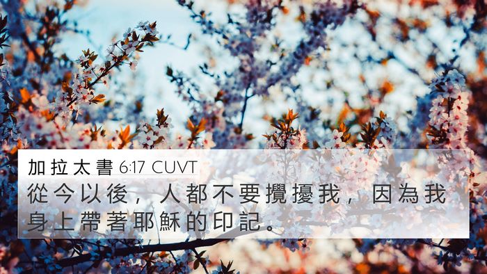 加 拉 太 書 6:17 CUVT Bible Verse Image