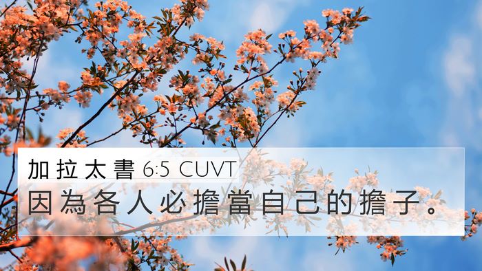 加 拉 太 書 6:5 CUVT Bible Verse Image